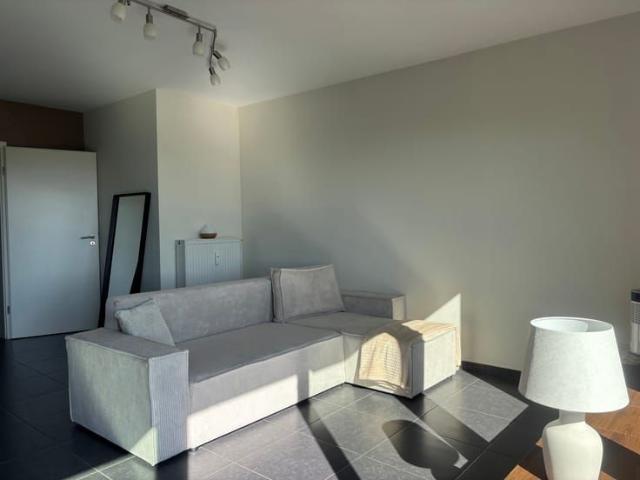 Appartement location à Neuvillers, Recogne