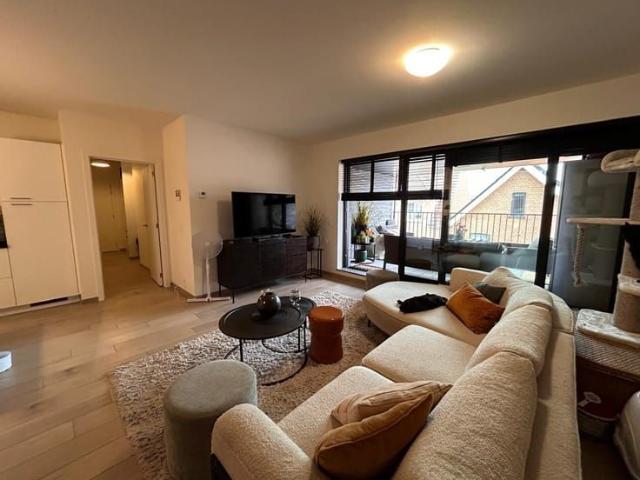 Appartement location à Mol, Antwerpen