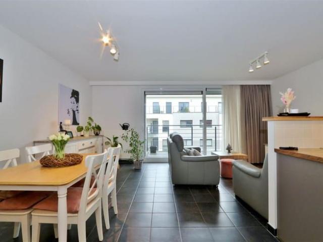 Appartement location à Halle, Brabant