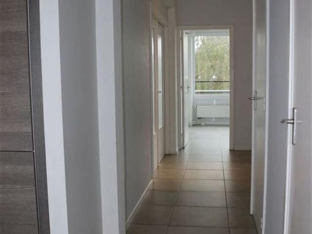 Appartement location à Bornem, Antwerpen