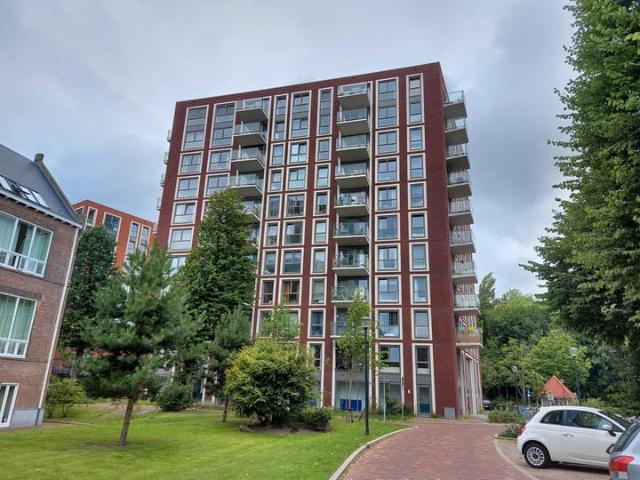 Appartement te huur in Boerhaave, Zuid Holland