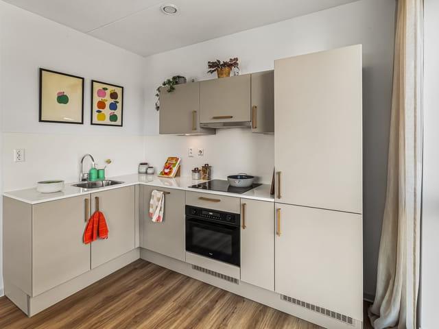 Appartement te huur in Artiestenbuurt, Rijswijk