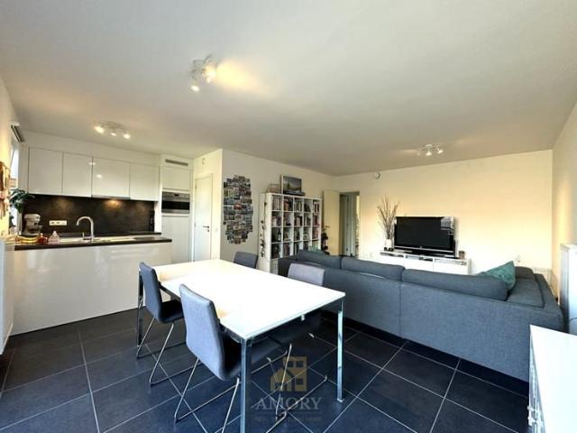 Appartement location à Desteldonk, Oost-Vlaanderen
