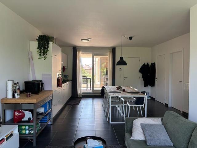 Appartement location à Tienen, Brabant
