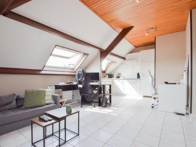 Appartement location à Kapelle-op-den-bos, Brabant