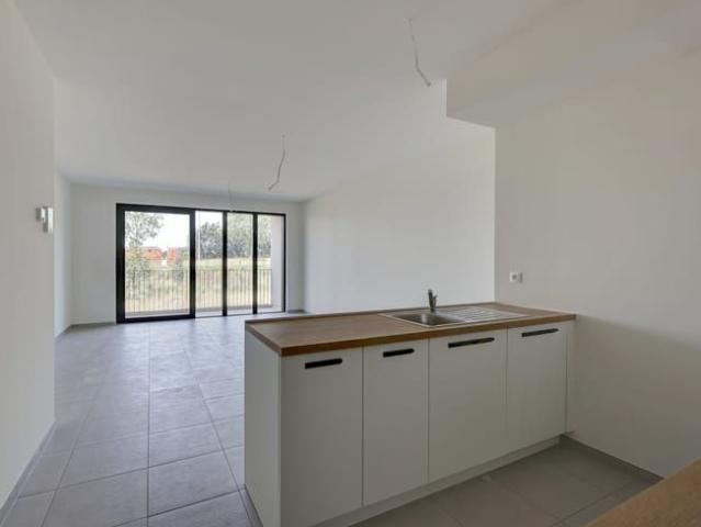 Appartement location à Lier, Antwerpen