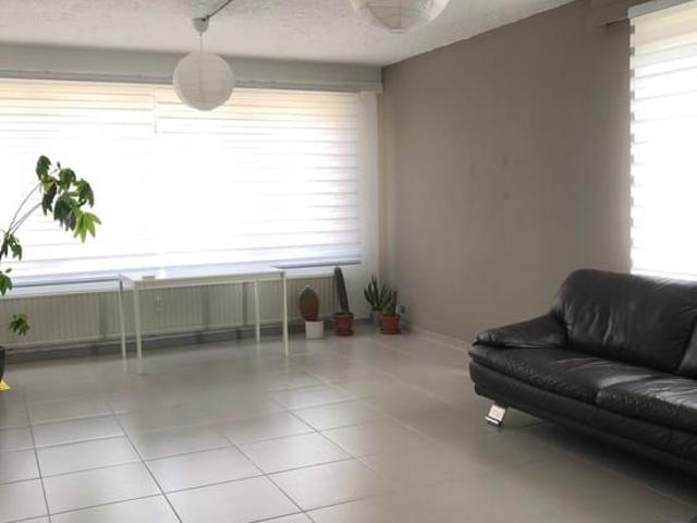 Appartement location à Denderleeuw, Oost-Vlaanderen