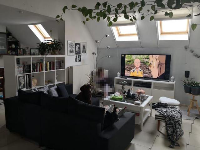Appartement location à Grimbergen, Brabant