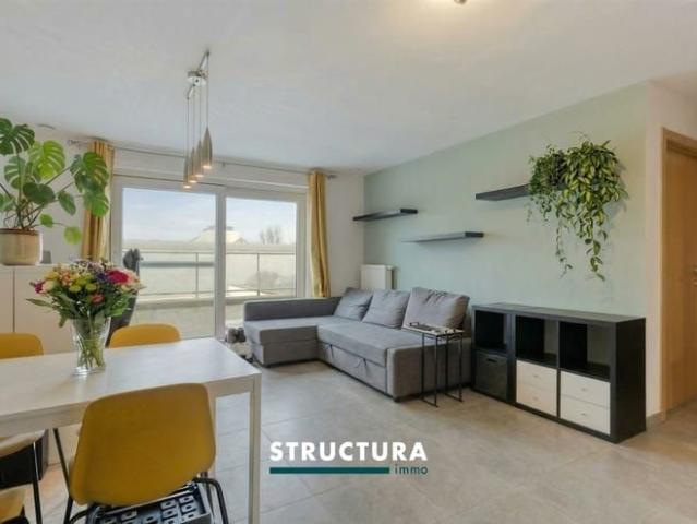 Appartement location à Merchtem, Brabant