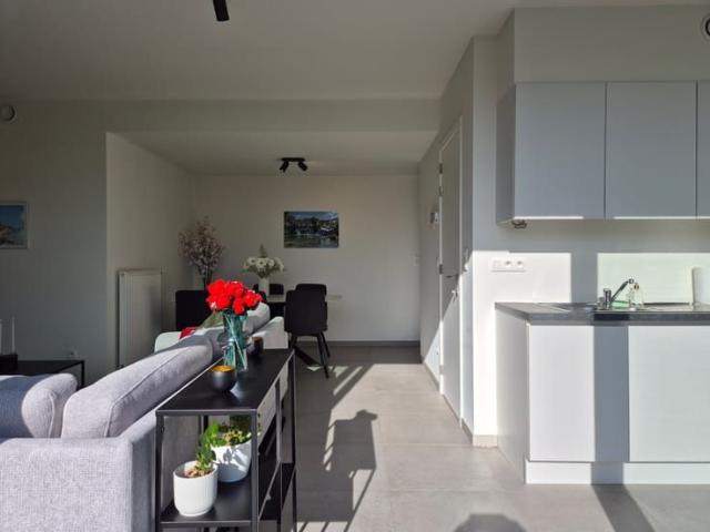 Appartement location à Temse