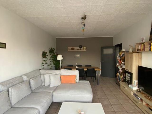 Appartement location à Kukelberg, Bruxelles