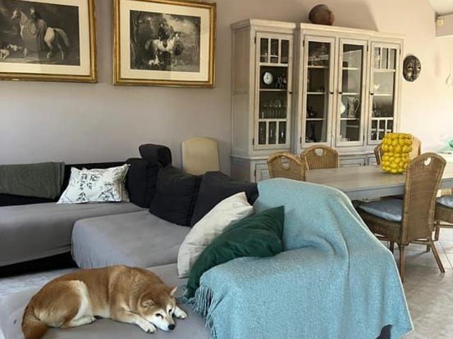 Appartement location à Hasselt, Limburg