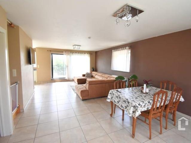Appartement location à Zingem, Oost-Vlaanderen