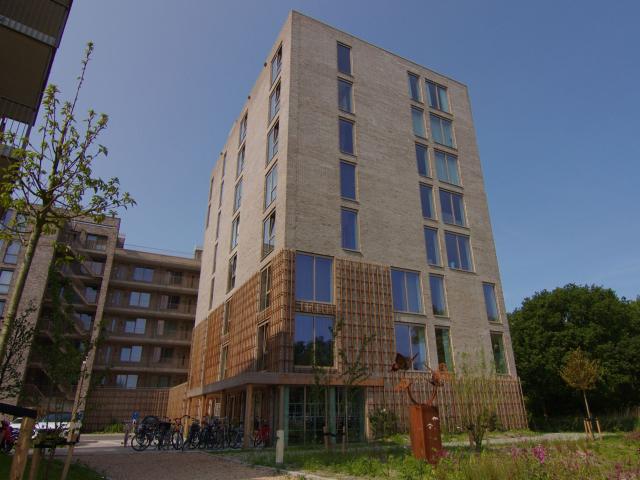 Appartement te huur in Alkmaar