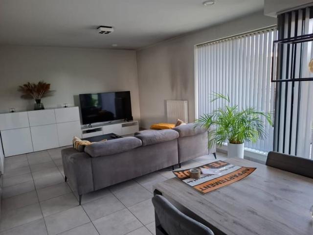Appartement location à Halle, Brabant