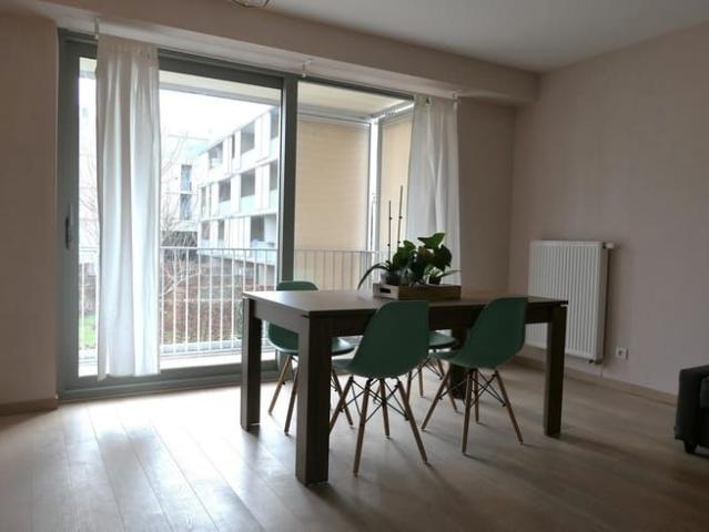 Appartement location à Desteldonk, Oost-Vlaanderen