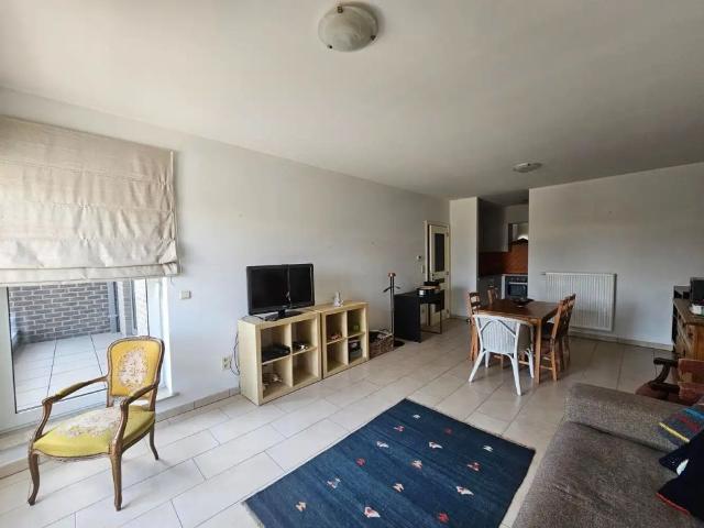 Appartement location à Maasmechelen, Limburg