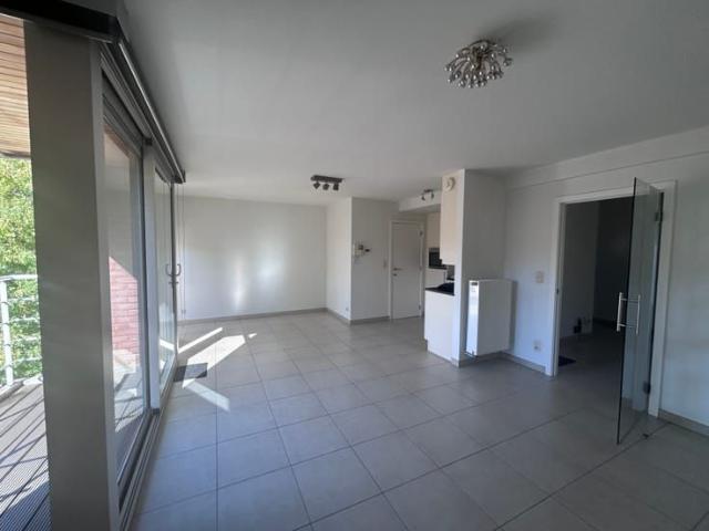 Appartement location à Aalst