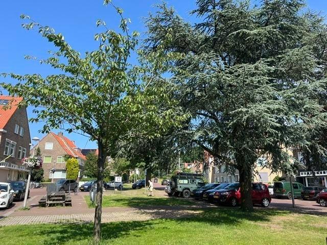 Appartement te huur in Alteveer/Cranevelt, Arnhem