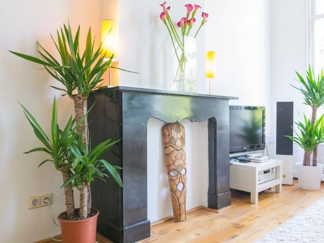 Appartement te huur in Bezuidenhout, Zuid Holland