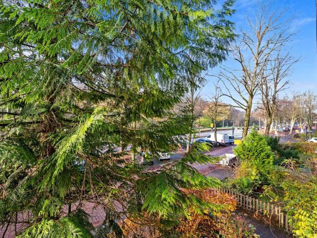 Appartement te huur in Rembrandtkwartier, Rijswijk