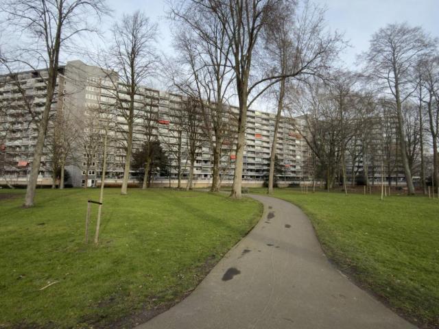 Appartement te huur in Groenoord, Schiedam