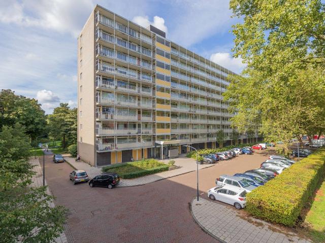Appartement te huur in Haarlem, Haarlem