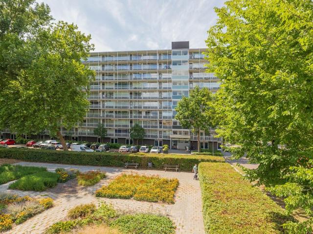Appartement te huur in Haarlem, Haarlem
