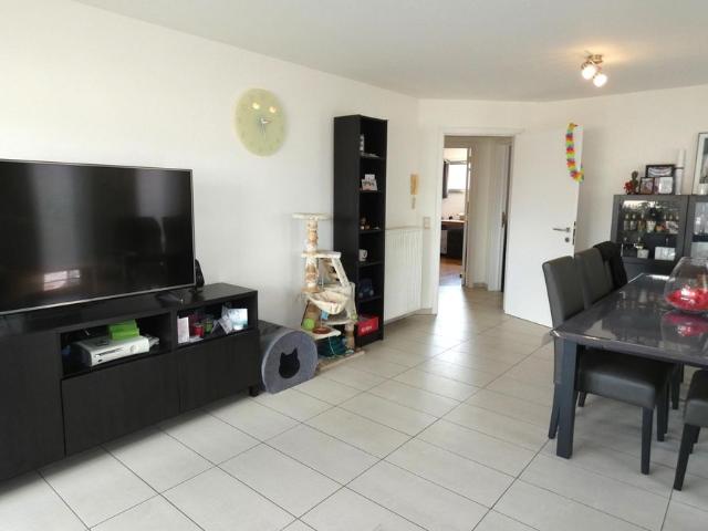 Appartement location à Erembodegem, Aalst