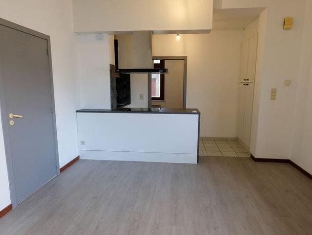 Appartement location à Maldegem, Oost-Vlaanderen