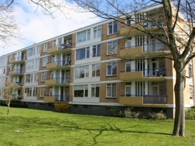 Appartement te huur in Noord Holland