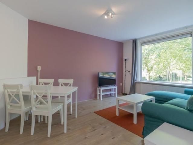 Appartement te huur in Amsterdam