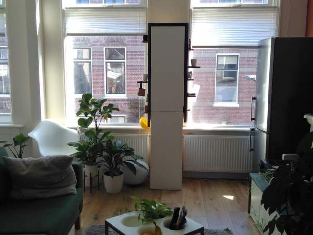 Appartement te huur in Arnhem, Gelderland