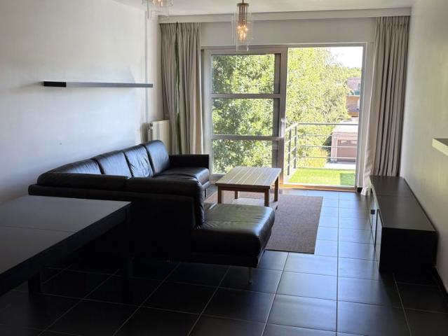 Appartement location à Brasschaat