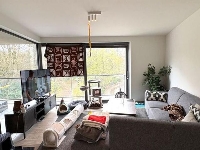 Appartement location à Brasschaat, Antwerpen