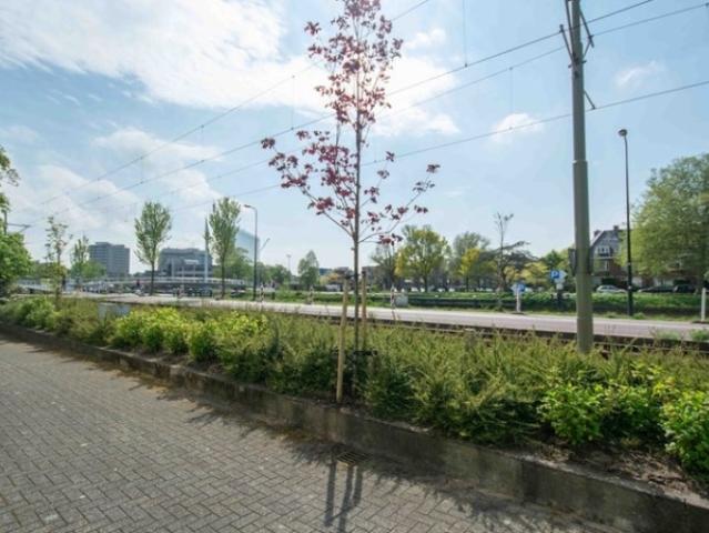 Appartement te huur in Delft, Zuid Holland