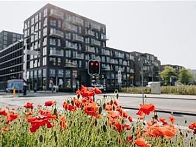 Appartement te huur in Delft, Zuid Holland