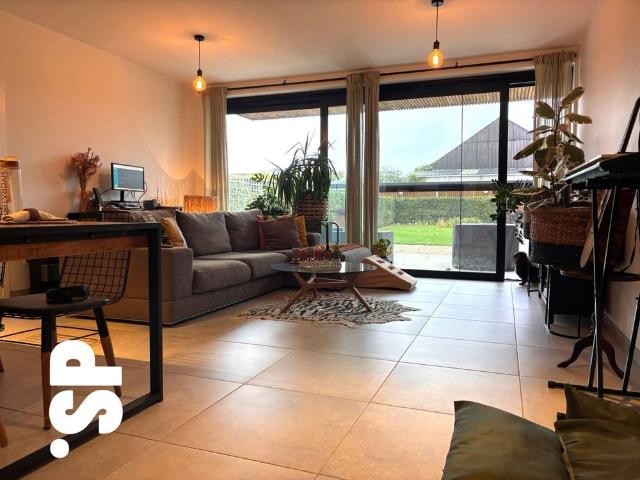 Appartement location à Dessel