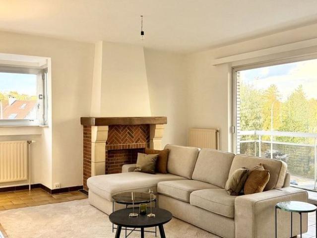 Appartement location à Bodeghem-saint-martin, Brabant