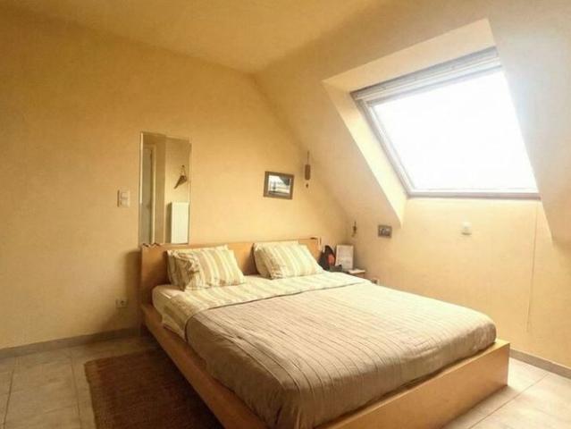 Appartement location à Audenarde, Oost-Vlaanderen