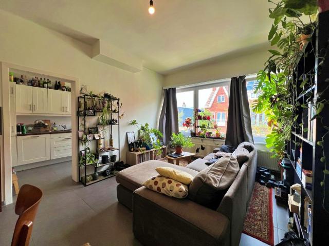 Appartement location à Desteldonk, Oost-Vlaanderen