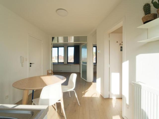 Appartement location à Muinkparkwijk, Gent