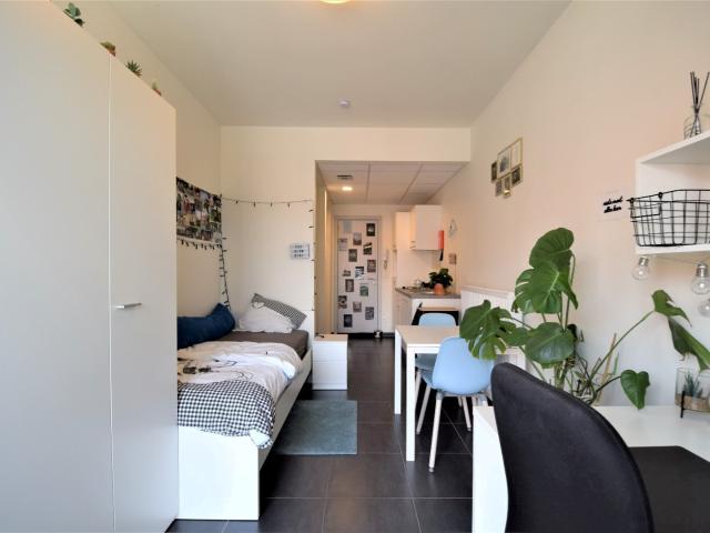 Appartement location à Desteldonk, Oost-Vlaanderen