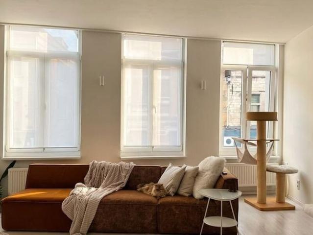 Appartement location à Desteldonk, Oost-Vlaanderen