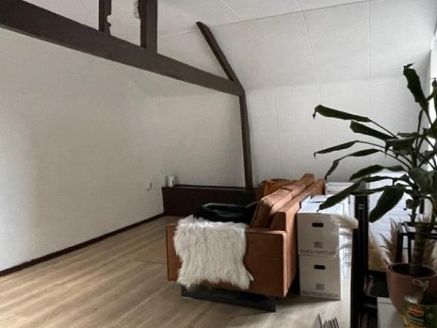 Appartement te huur in Haarlem