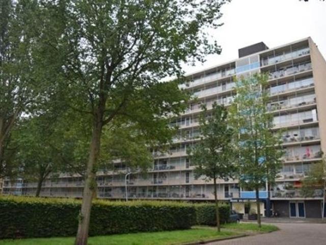 Appartement te huur in Haarlem, Noord Holland