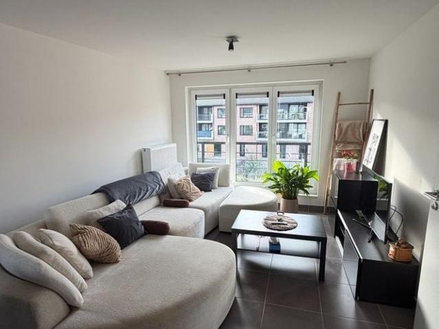Appartement location à Haelen, Limburg