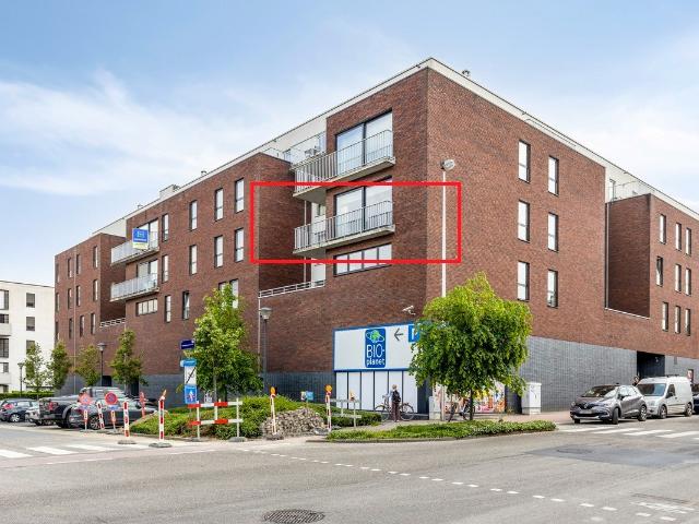 Appartement location à Halle
