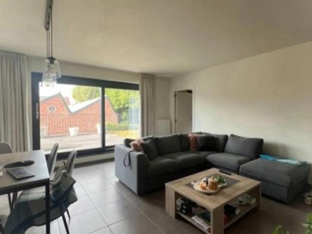 Appartement location à Hamme