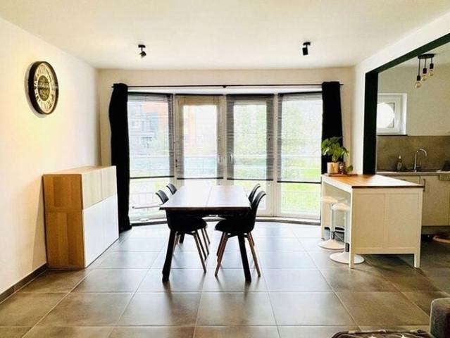 Appartement location à Hamme, Oost-Vlaanderen